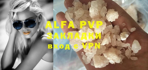 индика Бронницы