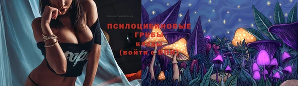 метадон Бородино