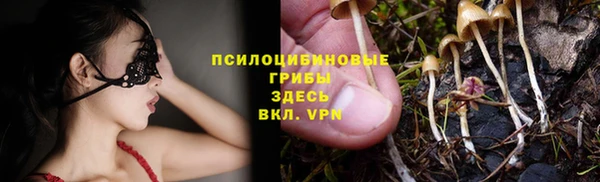 индика Бронницы