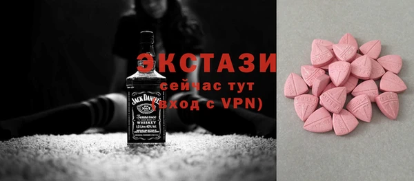 индика Бронницы