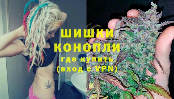 индика Бронницы