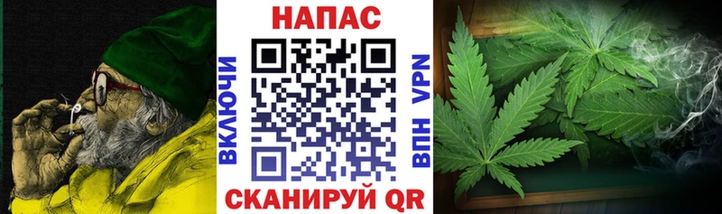 МАРИХУАНА план Палласовка
